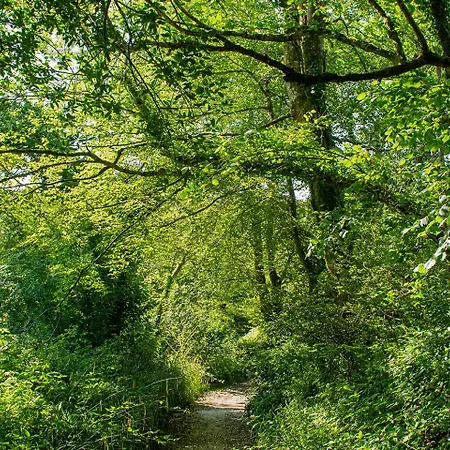 Holiday home Cusgarne Manor Self-catering - Adults Only Truro